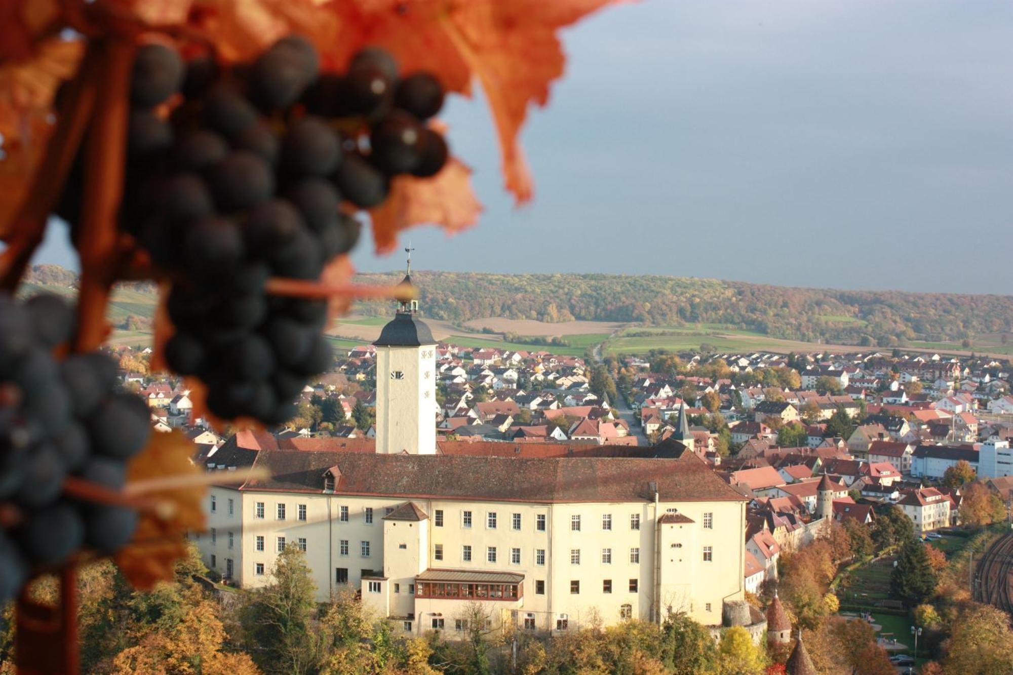Schell Schokoladen Otel Gundelsheim  Dış mekan fotoğraf